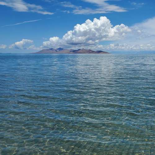 FRIENDS of Great Salt Lake - Home