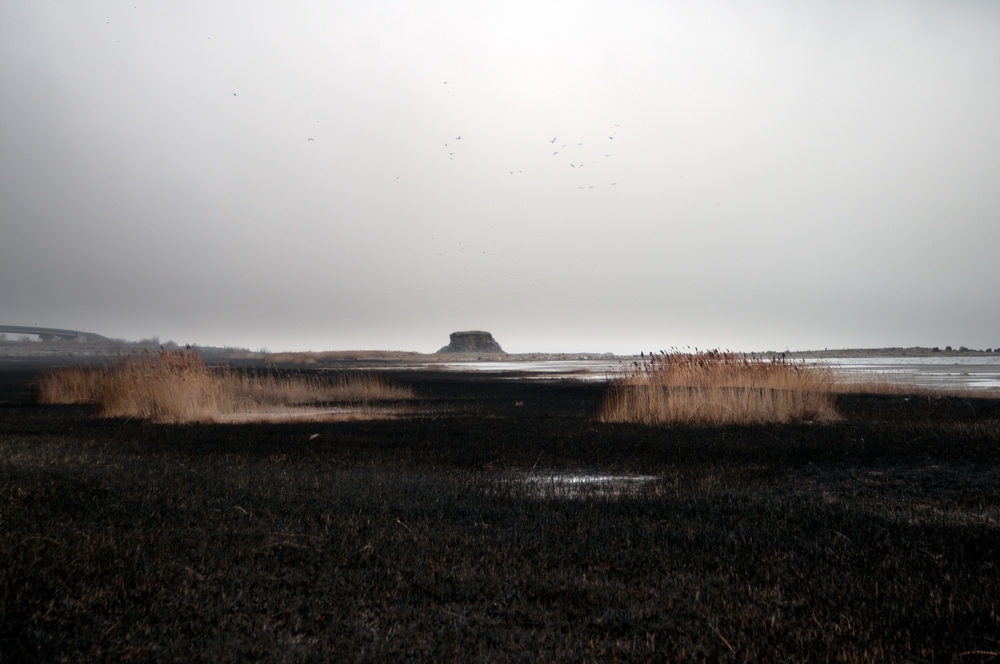 30Mar_fire1