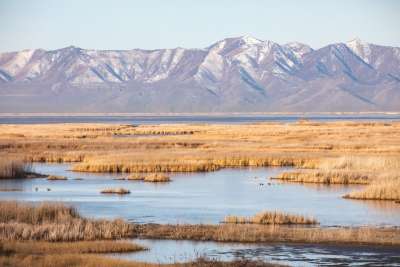 FRIENDS of Great Salt Lake - Living with Great Salt Lake
