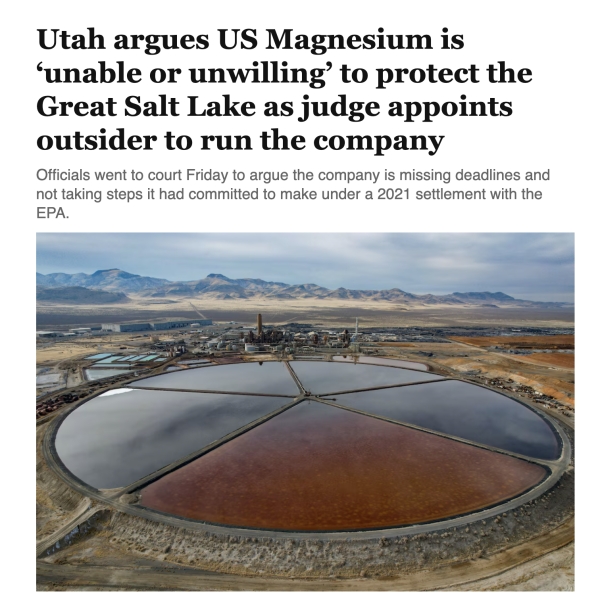 Officials Appoint an Outsider to Run US Magnesium Facility