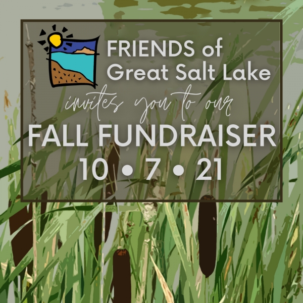 Fall Fundraiser, &quot;Protection Through Partnerships&quot;