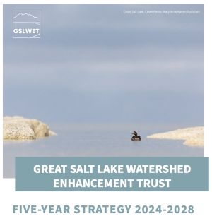 Great Salt Lake Watershed Enhancement Trust 5 Year Strategy
