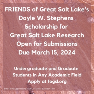 2024 Doyle W. Stephens Scholarship for GSL Research Open for Submissions