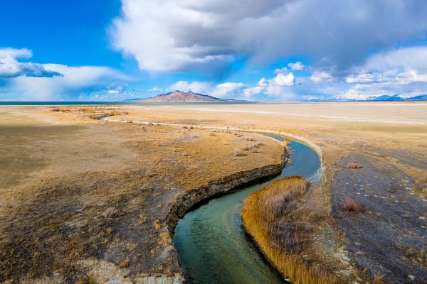 Gephardt Daily: Great Salt Lake wetlands and habitat preservation project chosen for $2.2M grant
