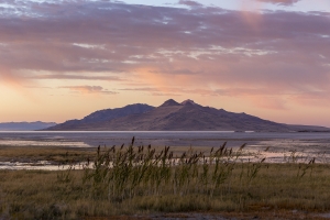 Timely, Generous and Just—Keeping Water in Great Salt Lake is the Right Thing to Do