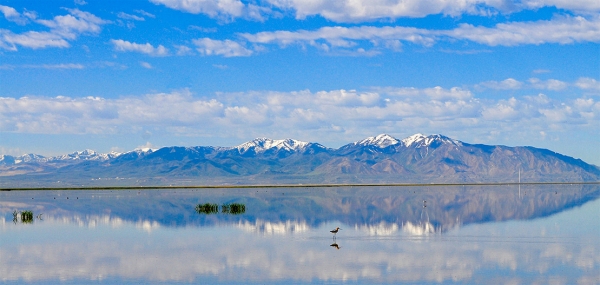 Utah’s iconic Great Salt Lake hit a record low in July.