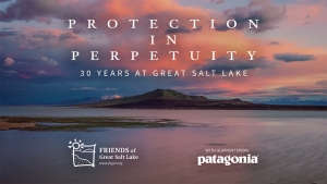 Watch our 30th Anniversary Film: Protection in Perpetuity