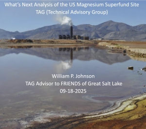 What’s Next Analysis of the US Magnesium Superfund Site
