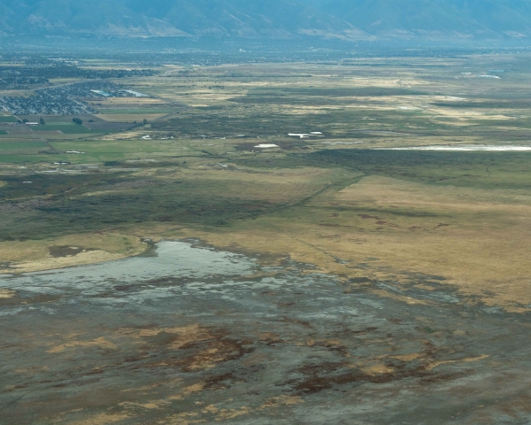 The site of former Syracuse evaporation ponds, now part of The Nature Conservancy&#039;s Shorelands Preserve