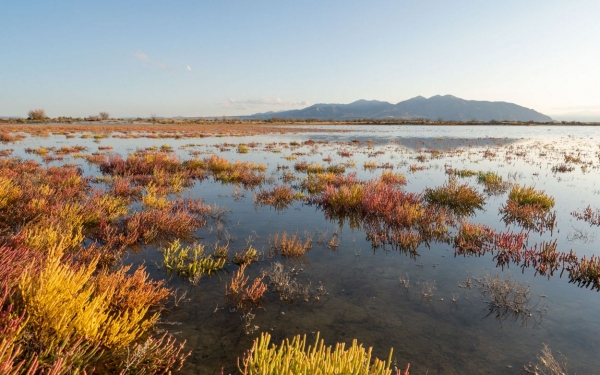 Will We Choose to Save the Great Salt Lake? Part 3: Easy Choices, Difficult Changes