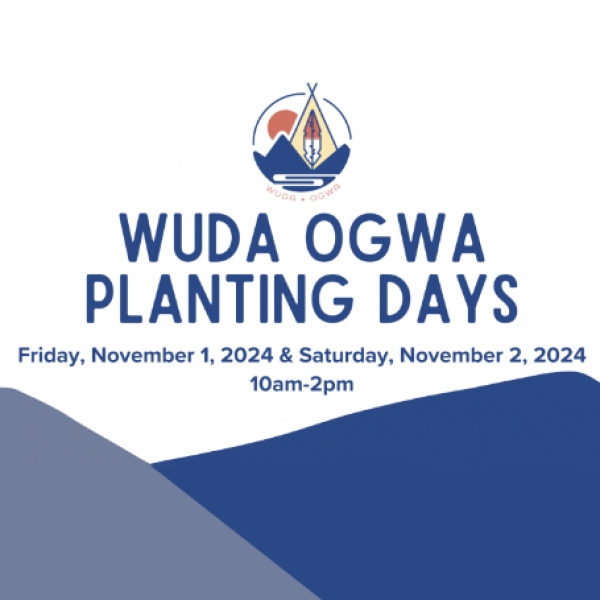 Wuda Ogwa Planting Days