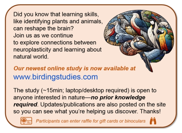 Neuroscience Study on Nature &amp; Birding