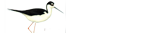 deco5.png