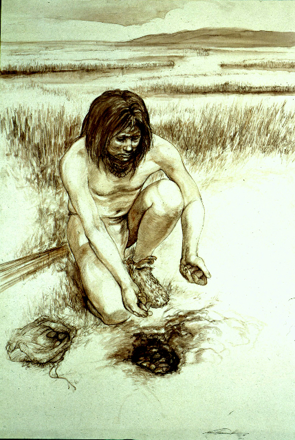 Illustration_7