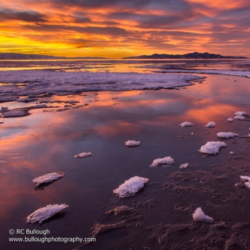 About FRIENDS of Great Salt Lake