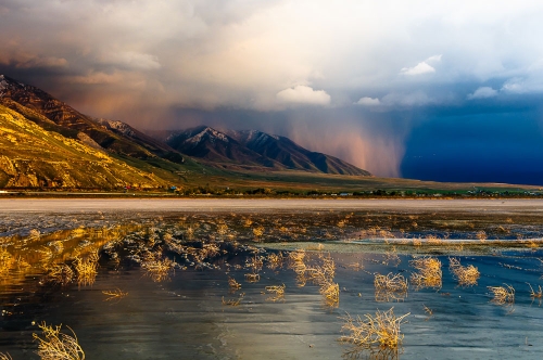 Photo by Charles Uibel